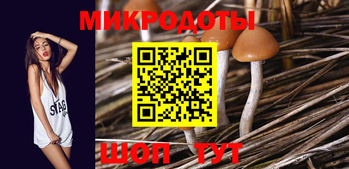 Псилоцибиновые грибы ЛСД Холмск