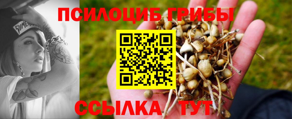 Галлюциногенные грибы GOLDEN TEACHER  Вход с VPN  Холмск 