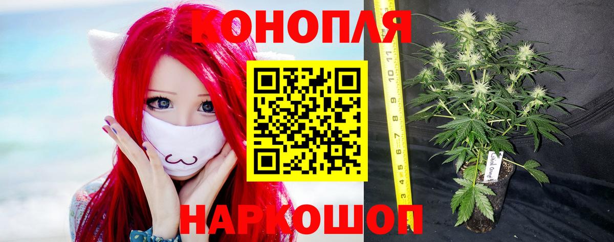 Канабис конопля  Бошки марихуана индика  Холмск  Каннабис OG Kush  Вход с VPN  Бошки марихуана OG Kush 